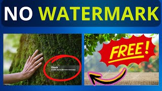 How to Download Stock Images without Watermark [upl. by Crooks]