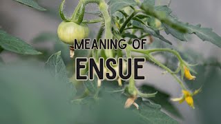 What is the meaning of Ensue [upl. by Publia]