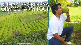 Goma At Home  Ormoc Farm Tour [upl. by Evered]