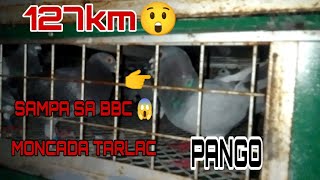 127km SAMPA SA BBC 😱 MONCADA TARLAC 😱😲 PANGO 😁 [upl. by Yevad]