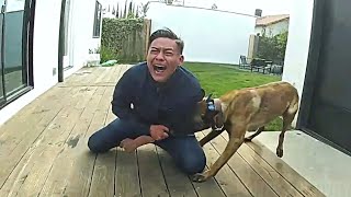 Police Dog Tracks Down Suspect Fleeing From LA Cops [upl. by Aninnaig530]