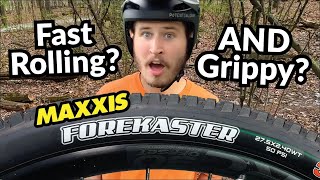 The quotGoldilocksquot Tire for Trail Bikes  Maxxis Forekaster V2 [upl. by Anoved]