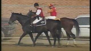 Real Quiet Preakness Stakes 1998  Extended PostRace Coverage [upl. by Odyssey]