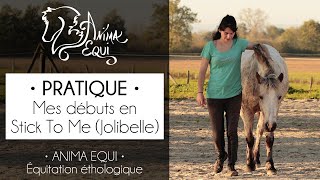 • PRATIQUE • Mes débuts en Stick To Me Jolibelle [upl. by Jami218]