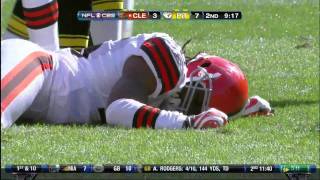 James Harrison hit on Josh Cribbs [upl. by Egiedan]