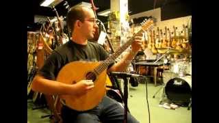 Ashbury SStyle Bouzouki played by Pip Ives Hobgoblin Music Canterbury [upl. by Kym949]