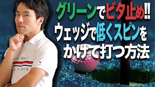 【ビタ止め】グリーンで面白いように止まる！ウェッジを低く抑えてスピンをかける方法 [upl. by Hook]