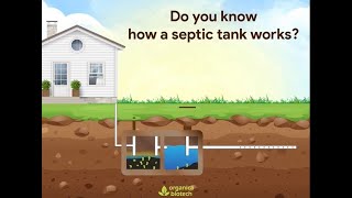 How A Septic Tank Works Septic Tank Treatment  Organica Biotech [upl. by Jola]