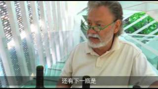 Famous wine expert tries Chinese wines at the Swedish pavilion [upl. by Trojan]