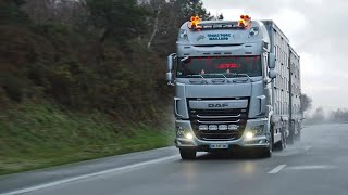 🇫🇷Une journée avec Nicolas en camion bétaillière aux Transporc Maillard🤩 Daf XF 510 [upl. by Amees]