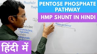 Pentose Phosphate Pathway  Hexose Monophosphate Shunt in Hindi [upl. by Thgirw]