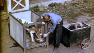 Welding on the Farm  1948 [upl. by Tychon760]