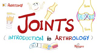 Joints  Anatomy amp Physiology [upl. by Merete]