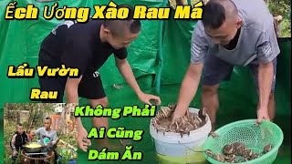 Làm Món Ếch Ương Xào Rau Má Không Phải Ai Cũng Dám Ăn Và Càn Quét Nồi Lẩu Bên Vườn Rau [upl. by Mareah]