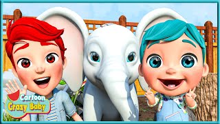 Aventure Zoologique en Musique  plus de chansons pour enfants  Crazy Baby Cartoon Le Français [upl. by Feinstein]