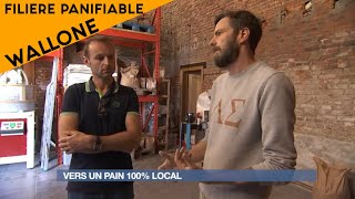 Filière panifiable Wallone  vers un pain 100  local [upl. by Knowlton933]