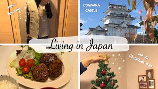 buy snacks at Daiso grocery shopping Odawara Castle put up Christmas tree🎄 Japan Vlog [upl. by Luigino]