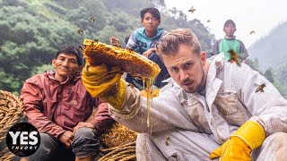 Hunting Nepal’s Mad Honey That Makes You Hallucinate  HONEY HUNTERS [upl. by Yauqaj]