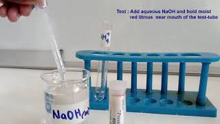 test for ammonium ion [upl. by Esilrahc]