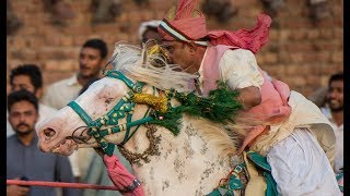 Day 4 Part 8 National championship of Neza Bazi 2018 Faisalabad Agriculture University Tent Pegging [upl. by Fornof]