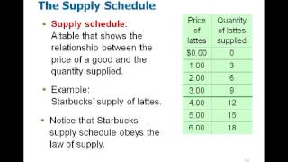 Microeconomics Chapter 4 [upl. by Petty739]