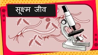 Science  Good and Bad Microbes Diseases  Hindi [upl. by Eussoj964]