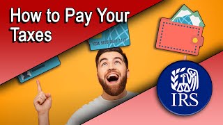 How to Pay Your Taxes [upl. by Asim193]