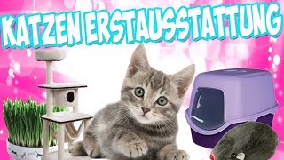 KatzenErstausstattung  Die richtige Erstausstattung für die Katze bzw Kitten [upl. by Ahsinam]