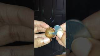 Macadamia Nut How to Open Tutorial [upl. by Ayidan]