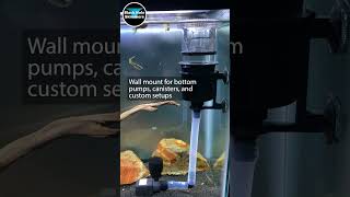 Versatile Aquarium Surface Skimmer  Easy to Clean  Easy to Use  Large Filter Chamber [upl. by Rexford]