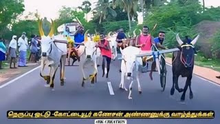 rekla race நெருப்பு ஒட்டு கோட்டையூர் கணேசன் அண்ணனுக்கு வாழ்த்துக்கள் 👌 [upl. by Taveda106]