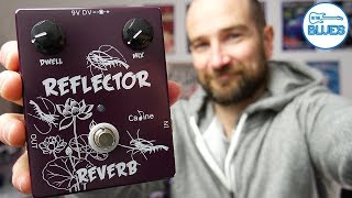 Caline Reflector Reverb Pedal Review  The Wettest Reverb Ever [upl. by Maitland]