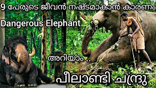 9 ജീവൻ നഷ്ടപ്പെടുത്തിയ പീലാണ്ടി ചന്ദ്രു  Peelandi Chandru Elephant [upl. by Manlove]