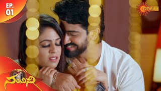 Nandhini  Episode 1  Digital Rerelease  Gemini TV Serial  Telugu Serial [upl. by Perusse]