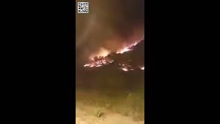 LALGERIE BRÛLE  BEJAÏA EST EN FEU Mr BOUTEFLIKA [upl. by Teerell464]