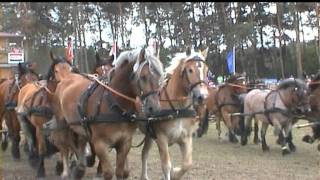 ZEHNSPÄNNERTITANEN DER RENNBAHN 2011 [upl. by Oilicec58]