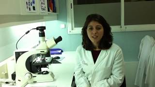 Immunofluorescence protocol for human intestinal biopsie ESNM Teaching Video [upl. by Keare730]