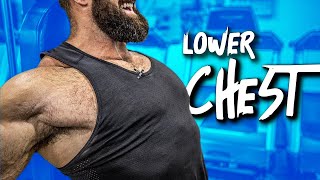 The KEY To Fixing Your Lower Chest amp Getting More Pec Development [upl. by Titus449]