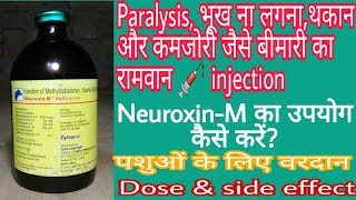 NeuroxinM vet injection  veterinary medicine  zydus AH  paralysisभूख न लगनाथकान और कमजोरी [upl. by Okemak]