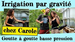 Le goutte à goutte basse pression de Carole Arrosage par gravité [upl. by Anauqaj]