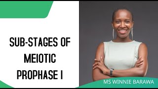 SUBSTAGES OF PROPHASE I OF MEIOSIS LEPTOTENE ZYGOTENE PACHYTENE DIPLOTENE DIAKINESIS [upl. by Ilbert]