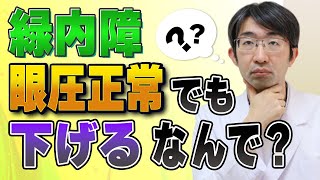 緑内障で眼圧正常でも眼圧下げろと言われるのは納得できない [upl. by Reinertson]