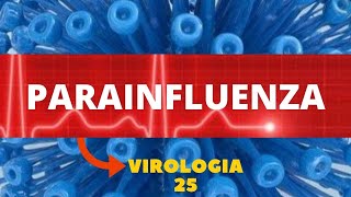 PARAINFLUENZA  VIROLOGIA  AULA 25 [upl. by Roselia683]