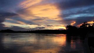 Tambopata Peru What A Wonderful World [upl. by Fadden182]