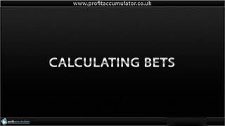 Matched Betting Basic Training Tutorial with Profit Accumulator [upl. by Goldstein]