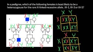 How Xlinked recessive genetic disorder inherited [upl. by Saville]