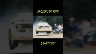 NOISE OF THE QUATTRO rally audi quattro michelemouton groupb mishashisensei [upl. by Kingsley]