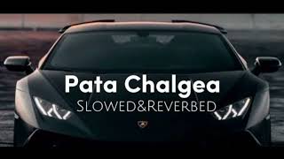 pata chalgea  badboy slowed  reverb  Imran khan [upl. by Aerdnael]