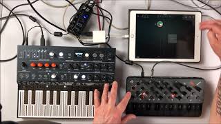 Setting Up FUGUE MACHINE amp AUM To Play The MicroFreak amp Skulpt  iPad Tutorial [upl. by Lenhart]