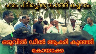 ഹരം പിടിച്ചൊരു പോത്ത് കച്ചവടം ഒടുവിൽ ഡീൽ ആക്കി കുഞ്ഞിക്കോയ [upl. by Artimid]